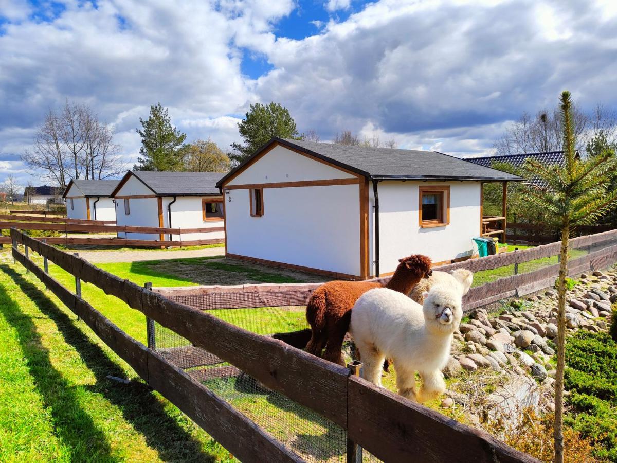 Domek Na Slonecznikowej Chmielno Exterior photo